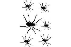 stencil Schablone Spinnen